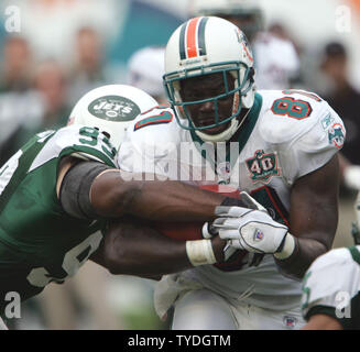 Pittsburgh Steelers Strong Safety Troy Polamalu (43) tackles Miami Dolphins  Tight End Randy McMichael (81) during a second quarter downpour on  September 26, 2004 at Pro Player Stadium in Miami, Fl. The