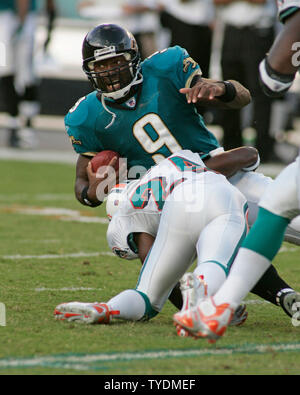 Miami Dolphins quarterback David Garrard runs drills during the NFL ...