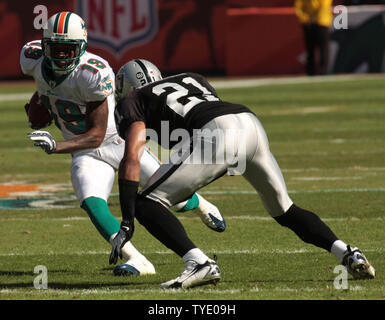 Miami Dolphins #19 Wide Receiver Ted Ginn Jr. The Miami Dolphins