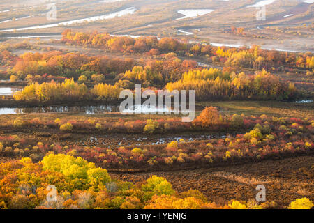 Autumn scenery of Zhenbao Island wetlands Stock Photo