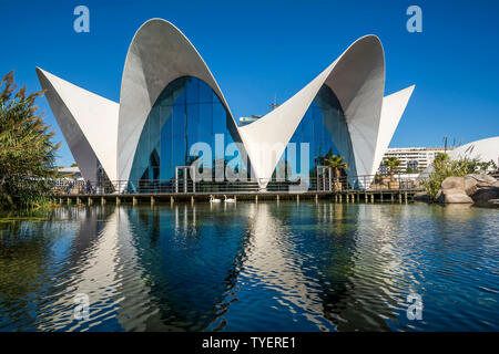 VALENCIA , SPAIN - NOVEMBER 7, 2016.  Oceanographic building, a Spanish oceanarium inaugurated in 2002, in  Valencia, Spain. Stock Photo