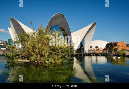 VALENCIA , SPAIN - NOVEMBER 7, 2016.  Oceanographic building, a Spanish oceanarium inaugurated in 2002, in  Valencia, Spain. Stock Photo