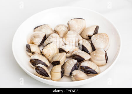 Baibei Stock Photo