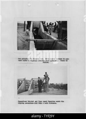 Photographs, with captions, of cattle dipping at Fallon, Nevada, from 1937 Carson Agency Annual Extension Report, which documents the first year in which Carson Agency had an extension agent. Stock Photo