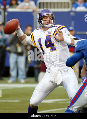 Minnesota Vikings quarterback Brad Johnson gets set to pass in the