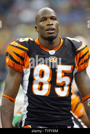 Cincinnati bengals receiver chad johnson hi-res stock photography and  images - Alamy