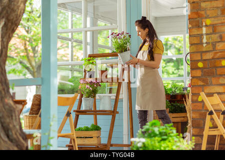 Florist displaying plants on shelves in front of her shop. Stock Photo