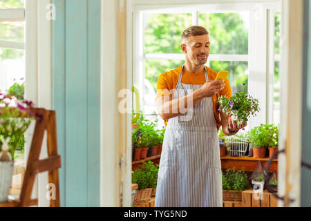 Florist standing behind the doorway and photographing a plant. Stock Photo
