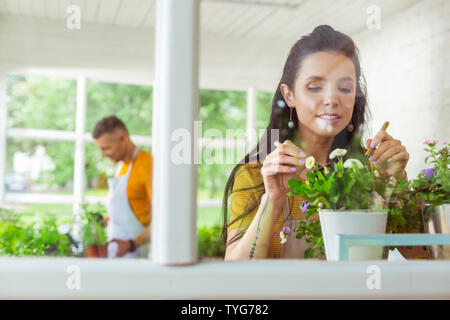 Florist standing near the window with her colleague behind. Stock Photo