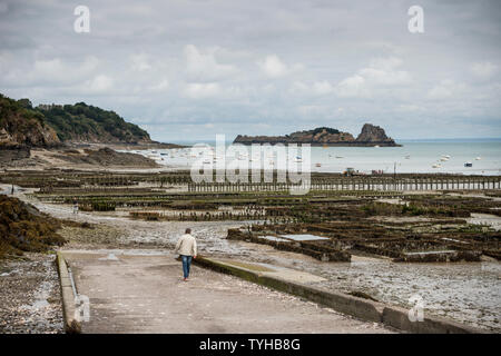 Oyster beds revealed by low tide on the beach of Cancale, Brittany, France Stock Photo