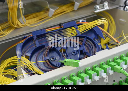 Optic fiber cable and splicing the fibers on spice tray in optical distribution frame Stock Photo