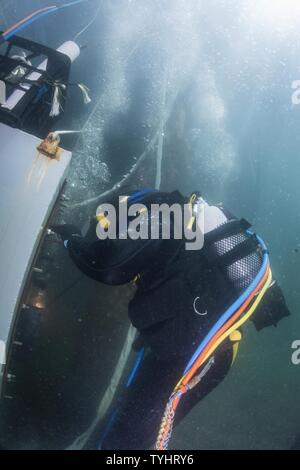 Petty Officer 1st Class Vincent Carson, assigned to Mobile Diving Salvage Unit (MDSU) 1, practices underwater welding skills during Exercise Dugong 2016, in Sydney, Australia, Nov. 10, 2016. Dugong is a bi-lateral U.S Navy and Royal Australian Navy training exercise, advancing tactical level U.S. service component integration, capacity, and interoperability with Australian Clearance Diving Team (AUSCDT) ONE. Stock Photo