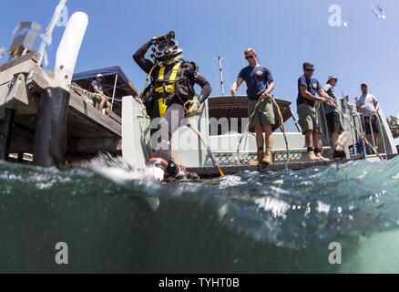 SYDNEY, Australia (Nov. 10, 2016) Petty Officer 2nd Class Corbin Stinson, assigned to Mobile Diving Salvage Unit (MDSU) 1, enters the water for a dive during Exercise Dugong 2016, in Sydney, Australia. Dugong is a bi-lateral U.S Navy and Royal Australian Navy training exercise, advancing tactical level U.S. service component integration, capacity, and interoperability with Australian Clearance Diving Team (AUSCDT) ONE. Stock Photo