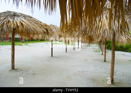 Palm umbrellas set on the tropical beach in the early morning with white sand green vegetation Stock Photo