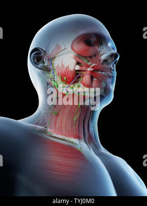3d rendered illustration of a mans Stock Photo - Alamy