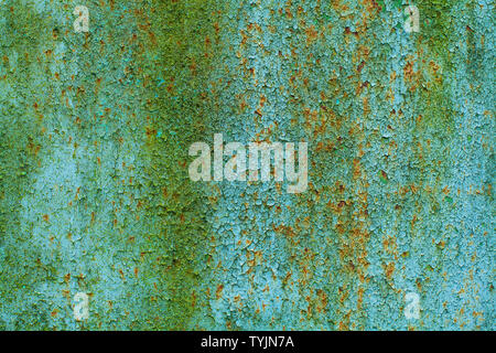 Painted iron wall in Chernobyl. The paint is cracked and green moss grows on the wall. Nature beats Stock Photo