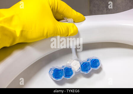 Closeup of a hand in a yellow rubber glove attaching a blue plastic clip-on cleaner / freshener to the rim of a white toilet bowl.