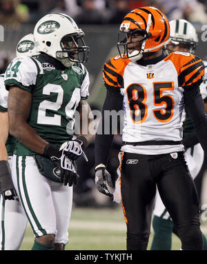 New York Jets Darrelle Revis puts his hand on Cincinnatti Bengals Chad  Ochocinco (85) in a first quarter play in the last regular season football  game ever at Giants Stadium in East