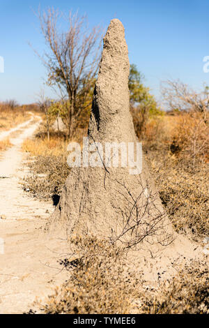 Large termite mound, Namibia Stock Photo