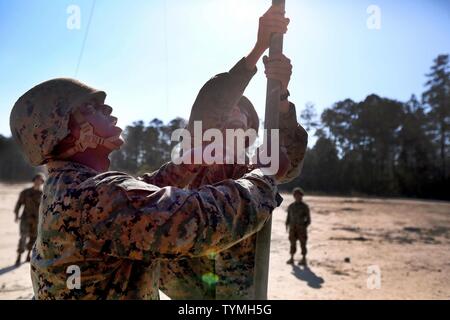 Petty Officer Second Class Jerry Williams assists his fellow squad members in the radio OE-254/GRC raise portion of the 2nd Marine Logistics Group squad competition at Battle Skills Training School at Camp Lejeune, N.C., Nov. 16, 2016.  The radio OE-254/GRC raise was one of over 20 events the eight squads participated in over the course of two days.  These events varied in physical and mental challenges, testing each squad’s ability to work as a team and to build camaraderie.  Williams is a corpsman with 2nd Medical Battalion. Stock Photo