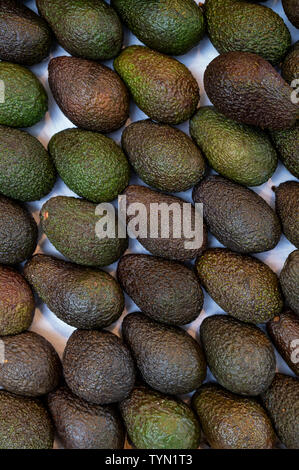 Organic avocados for sale at Daylesford Organic farm shop summer festival. Daylesford, Cotswolds, Gloucestershire, England Stock Photo