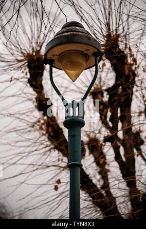 Old rusty lantern with a withered tree and gloomy winter sky in the background. Stock Photo