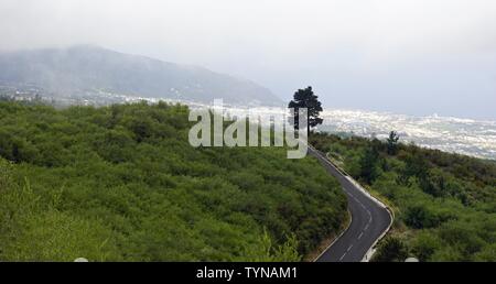 curvy serpentine roads on teide volcano on tenerife island Stock Photo