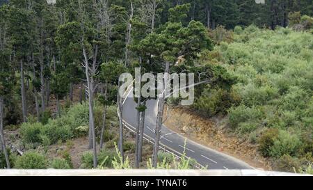 curvy serpentine roads on teide volcano on tenerife island Stock Photo