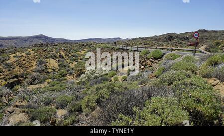 curvy serpentine roads on teide volcano on tenerife island Stock Photo