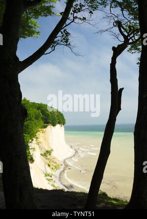 view to the chalk cliff  on island Ruegen and baltic sea Stock Photo