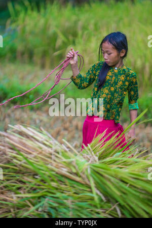 Vietnamese farmer in a countrside near Ha Giang Vietnam Stock Photo