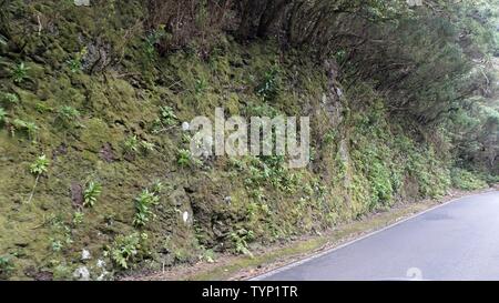 curvy serpentine roads on teide volcano on tenerife island Stock Photo