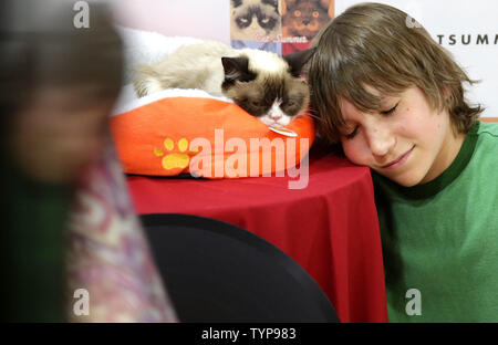 A fan takes a picture with Grumpy Cat when feline internet sensations Grumpy Cat and Oskar the Blind Cat make a special appearance at Bleecker Street Records in New York City on July 16, 2014. The duo will debut their new music video 'Cat Summer' on July 16th. Grumpy Cat will return next month for promotional activities in support of her book, The Grumpy Guide to Life: Observations from Grumpy Cat.    UPI/John Angelillo Stock Photo