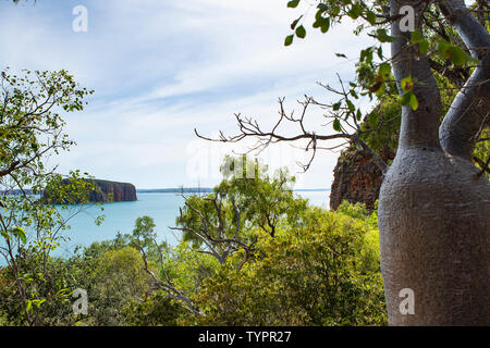 coastline of  the region Kimberley in Western Australia with lush bushes and a Baobab tree in the foreground Stock Photo