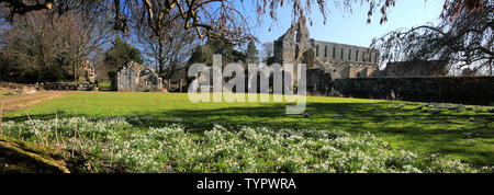 The ruins of Jervaulx Abbey, East Witton village, North Yorkshire county, England Stock Photo