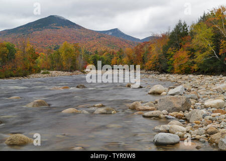 Autumn foliage on Big Coolidge Mountain from along the East Branch of the Pemigewasset River in Lincoln, New Hampshire on a cloudy autumn morning. Thi Stock Photo