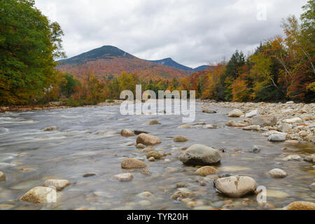 Autumn foliage on Big Coolidge Mountain from along the East Branch of the Pemigewasset River in Lincoln, New Hampshire on a cloudy autumn morning. Thi Stock Photo