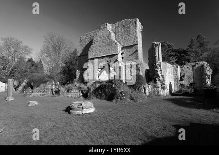 The ruins of Jervaulx Abbey, East Witton village, North Yorkshire county, England Stock Photo