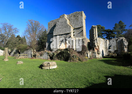 The ruins of Jervaulx Abbey, East Witton village, North Yorkshire county, England Stock Photo