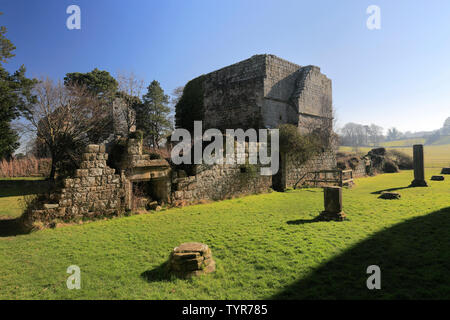 The ruins of Jervaulx Abbey, East Witton village, North Yorkshire county, England Stock Photo