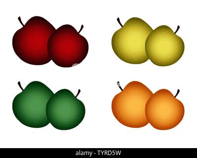 Vector of apples. The apples are red, green, orange and yellow. They are fresh organic apples from the farm Stock Vector