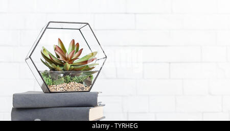 Florarium and books on table at white wall Stock Photo