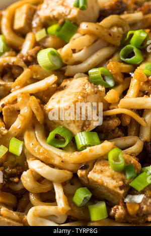 Homemade Japanese Mapo Tofu Udon Noodles Bowl Stock Photo