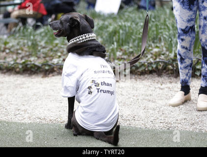 A dog wears an anti Trump shirt at the Tax March protest in New York City on April 15, 2017. Protesters across the U.S. took to the streets to demand that President Trump make his tax returns public.       Photo by John Angelillo/UPI Stock Photo