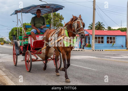 Varadero, Cuba - May 7, 2019: Horse Carriage Taxi Ride in the street during a vibrant and bright sunny day.