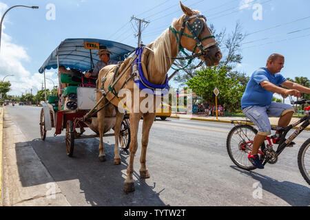Varadero, Cuba - May 8, 2019: Horse Carriage Taxi Ride in the street during a vibrant and bright sunny day.