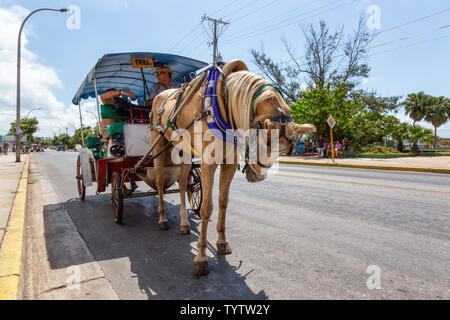 Varadero, Cuba - May 8, 2019: Horse Carriage Taxi Ride in the street during a vibrant and bright sunny day.