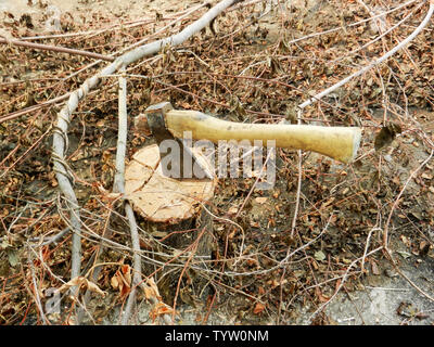 Old ax in hemp, on the background of firewood Stock Photo