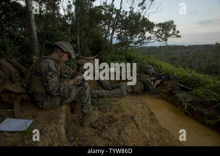 A U.S. Marine with India Company, 3d Battalion, 3d Marine Regiment with the unit deployment program, sketch their surroundings during a division squad competition at Landing Zone Cardinal, Camp Schwab, Okinawa, Japan, Nov. 30, 2016. Marines participate in the annual competition to test their endurance, occupational intelligence and cohesion. Stock Photo