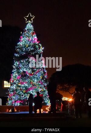 Admiring the tree hours later after 61st Air Base Group Commander, Col Charles Roberts, along with some of his little helpers flipped the switch to light the Christmas tree, near the parade grounds on Fort MacArthur, San Pedro, Calif, Nov 30, 2016. Family, friends and residents were then treated to food, toys, crafts and a visit with Santa in the community center. Stock Photo